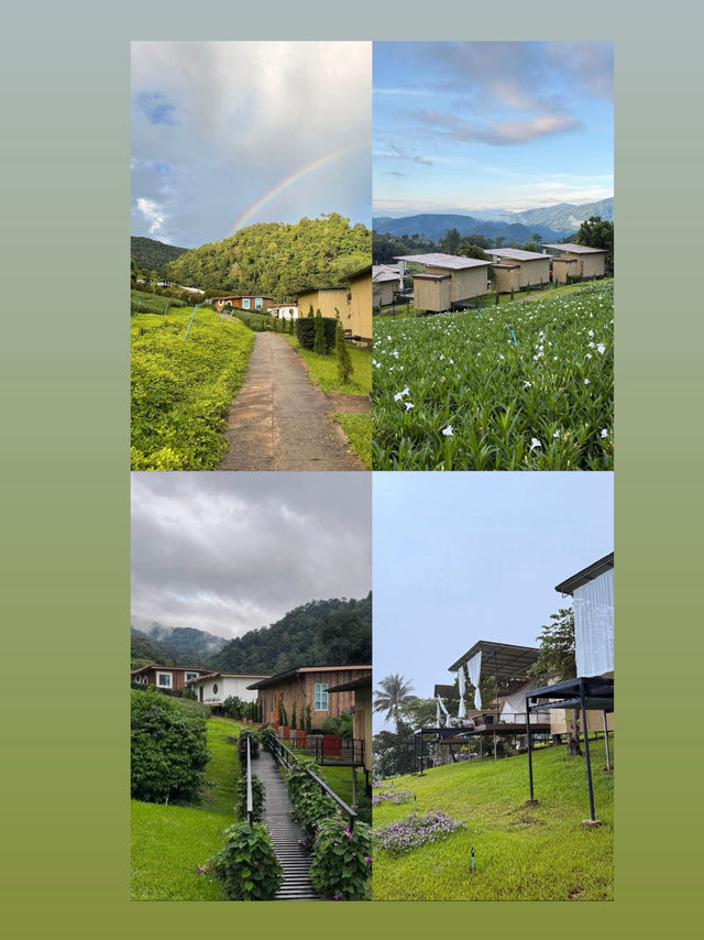 ที่พักโฮมสเตย์ เชียงใหม่ชื่อ   เจอเขา โฮมสเตย์