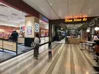 🍽️ Changi Airport: A Global Foodie Destination! 🇸🇬✈️