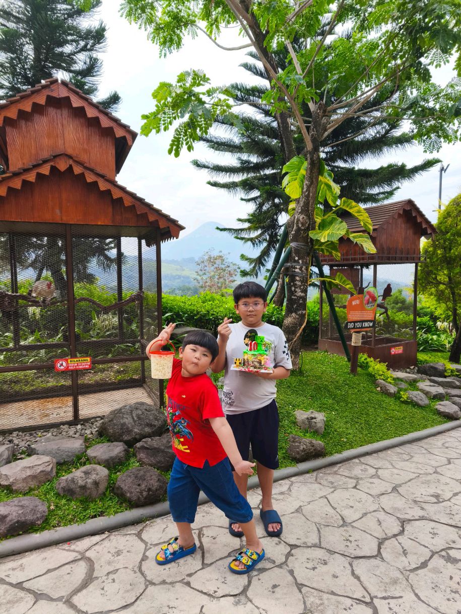สัมผัสประสบการณ์ที่สนามเด็กเล่นกลางแจ้งขนาดใหญ่ของ Dairyland