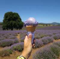 #mustvisit Tasmania 🩵🧡💜💚