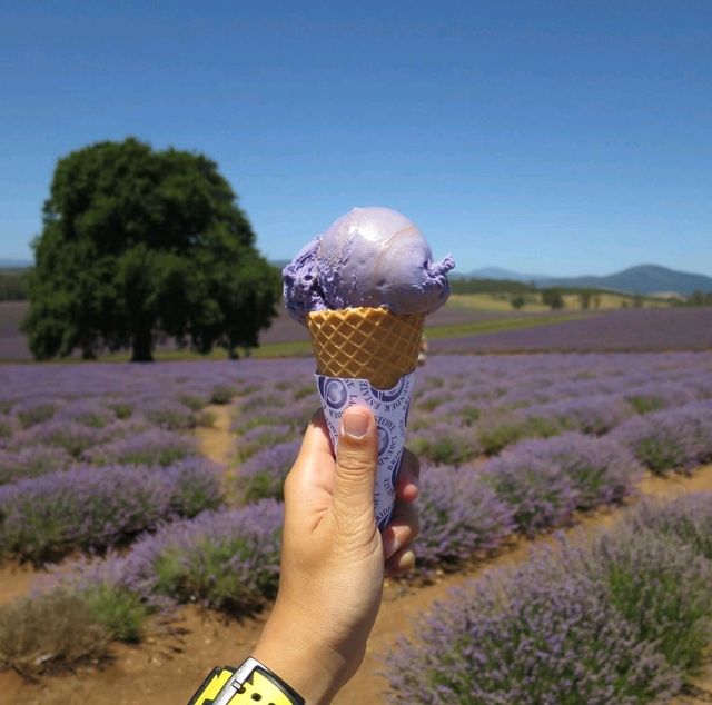 #mustvisit Tasmania 🩵🧡💜💚