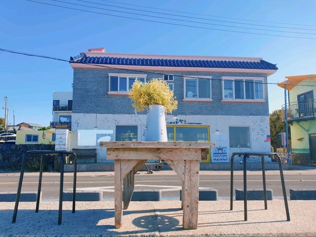 푸른 바다와 산이 어우러진 곳 📍제주도 푸른 바다와 산이 어우러진 곳 📍제주도