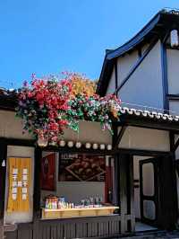 Ge Xian Village: A Poetic Dwelling Amidst Mountains and Waters