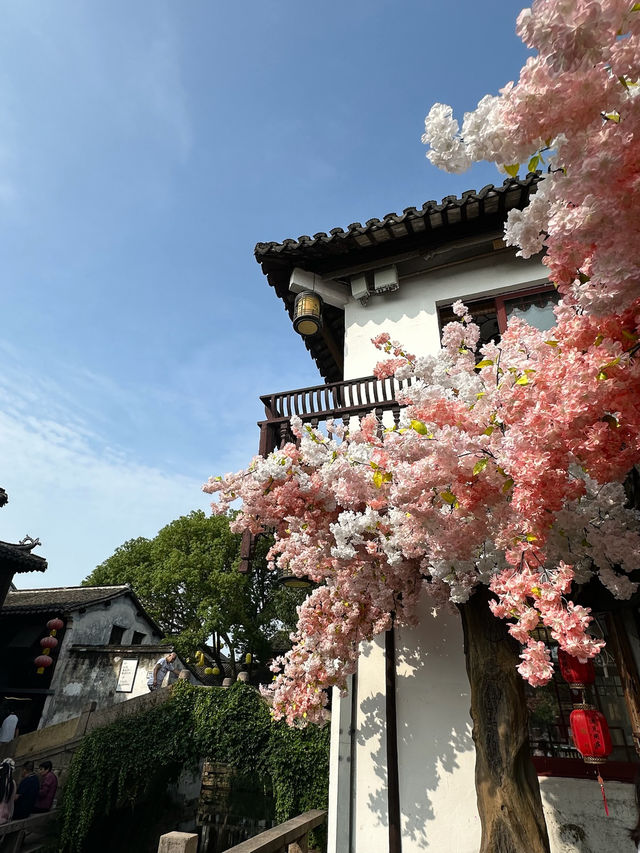 去蘇州，千萬別錯過中國有名的水鄉古鎮  - 周莊✨