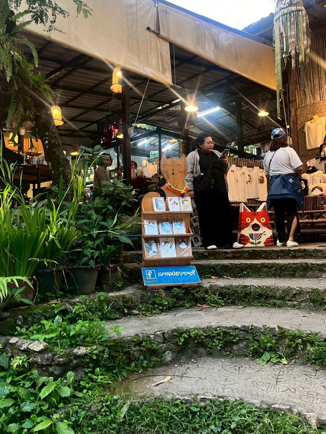 🐾 รีวิวร้าน “แมวดอยแกลเลอรี่” 🐾 รีวิวร้าน “แมวดอยแกลเลอรี่”