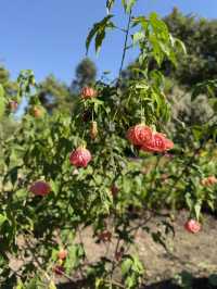 ร้าน จันกะผัก (Chan Ka Pak)