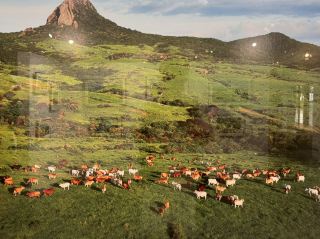 新北市を発見：自然と文化が出会う場所