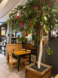 밤의 아늑한 스윗 솔트🌿