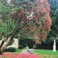 เดินชิลที่ Monte Cecilia Park สูดอากาศดีเต็มปอด