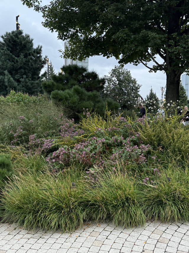 뉴욕 찐 핫플 모음 일정 🇺🇸