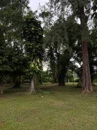 Лагуна - лучший район для проживания с детьми