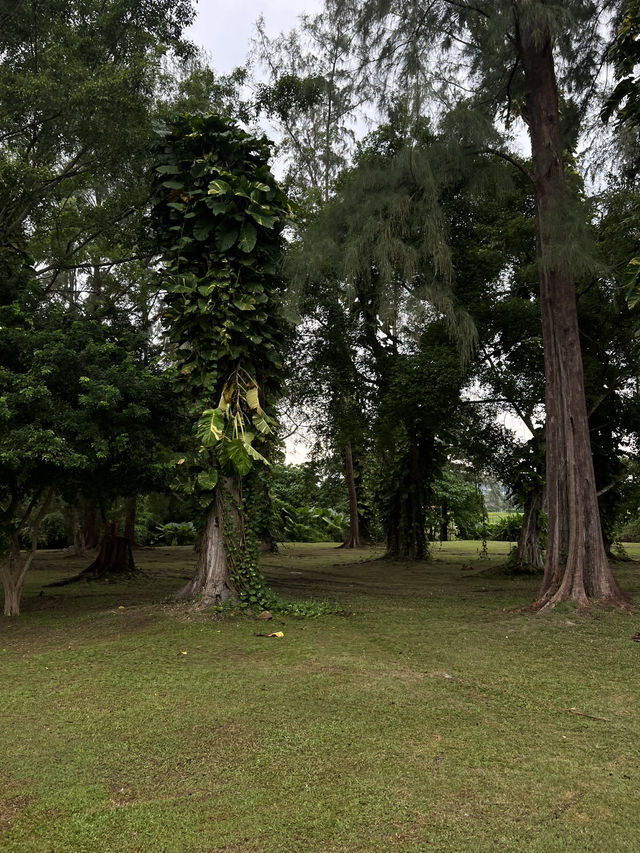 Лагуна - лучший район для проживания с детьми