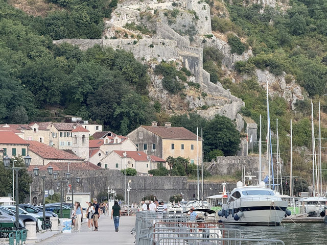 ⛵✨ KOTOR HARBOR — THE GATEWAY TO ADRIATIC BEAUTY 🇲🇪🌊 ⛵✨ KOTOR HARBOR — THE GATEWAY TO ADRIATIC BEAUTY 🇲🇪🌊