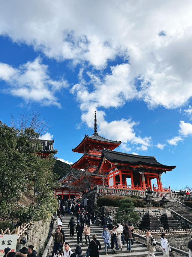 ⛩️京都清水寺｜一次走進千年古都的浪漫與驚嘆✨