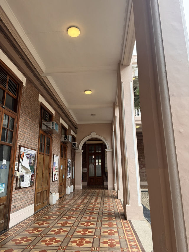 Campus Daydream☀️  