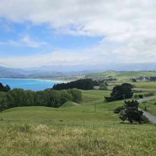 Kaikoura, New Zealand: A must-visit coastal town! Get up close to whales + delicious crawfish! 🐳🦞