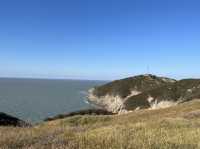 시간이 천천히 흐르는 섬, 굴업도