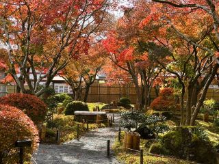 Yutoku Inari Shrine: A Stroll Through the Vermilion Mountain Castle