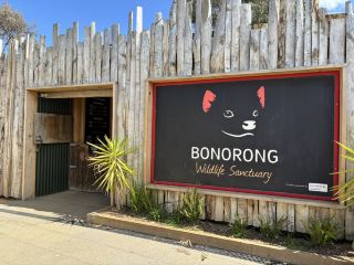 Bonorong Sanctuary, a unique animal rescue center in Tasmania