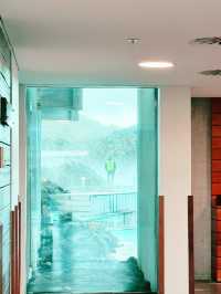 Northern Lights Find🌌