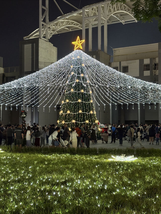 屏東景點✨屏東公園暖冬聖誕燈節🎄活動資訊