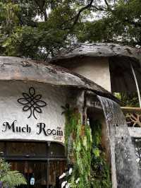 Rainforest Escape🌴