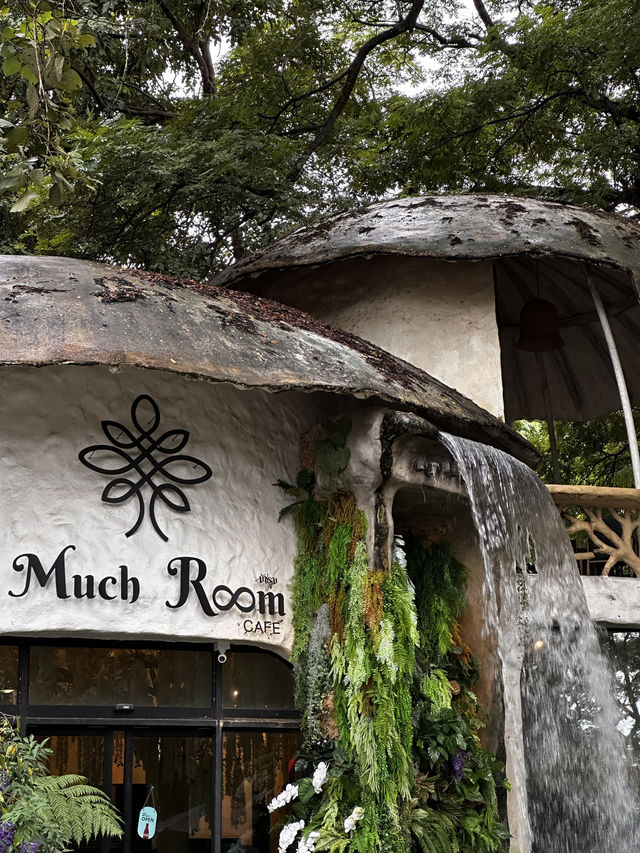 Rainforest Escape🌴 Rainforest Escape🌴