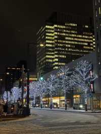 삿포로의 상징, 니카상과 만난 밤✨