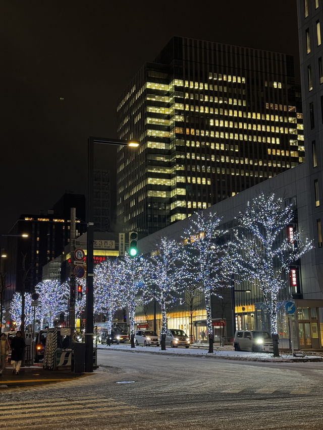 삿포로의 상징, 니카상과 만난 밤✨