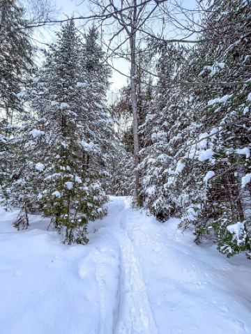Simcoe County is renowned for its pristine natural beauty and distinct seasonal seasons, and the Trout Trail in Midhurst is a popular hiking route year-round. Stepping onto the Trout Trail in January, you're surrounded by snow-covered streams and snow-capped forests, a tranquil and healing experience. It truly doesn't disappoint; it's a popular trail for embracing nature all year round!

The Midhurst Trail (especially the Trout Trail) is a route suitable for both beginners and seasoned hikers, perfect for both a brisk workout and leisurely observation of winter scenery. Its biggest highlight is its accessibility even in winter, with snow-covered landscapes and streams complementing each other, surrounded by trees blanketed in snow, offering a serene escape from the city and a truly therapeutic experience.

Recommended Attractions:

Trout Trail: This is a star route in the Midhurst Trail network. Walking along the frozen creek during the snow season, with snow-covered tree trunks and slightly icy paths, is a truly authentic "Canadian winter" experience; every snapshot is a masterpiece. Importantly, the trail is well-maintained, making it less slippery, so parents with young children can rest assured.

📍Address: 11545 Bayfield St, Midhurst, ON L0L 1X0, Canada
Basic parking is available at the trail entrance, but it's recommended to arrive early in winter to avoid parking difficulties due to snow.

Opening Hours: Open year-round, but recommended to visit between 10:00 AM and 4:00 PM in winter (the trail can become icy after dark, posing a safety risk).

Recommended Route and Experience Tips:

1. The snowscape is most spectacular in January/February, and the area near the creek is particularly quiet, perfect for taking photos and relaxing.

2. The trail is approximately 5 kilometers long and has a certain level of difficulty.