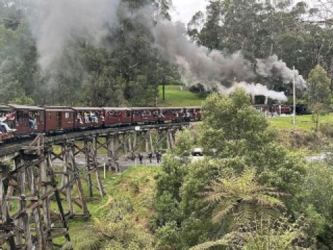 All Aboard for Timeless Charm: A Ride on Puffing Billy
