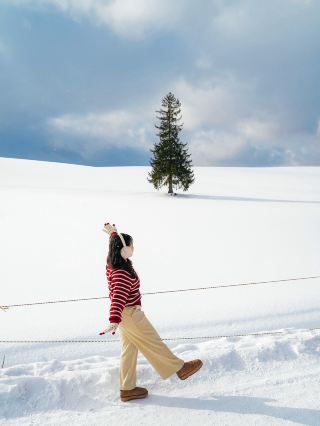 札幌必做的美瑛之旅小貼士