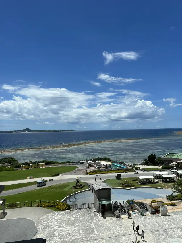 沖縄でジンベエザメを見て、海の世界を探検しよう。