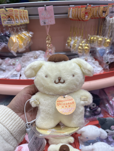 可愛さが爆発する、サンリオをテーマにした必見のお店！🎀 | Trip.com 上海