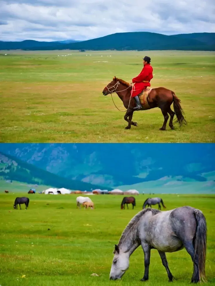 🐎 진짜 몽골을 느끼는 곳, 테를지 국립공원