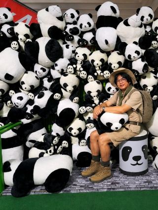 CHA CHA CHA PANDA TOWN 可愛到令人心都融化。