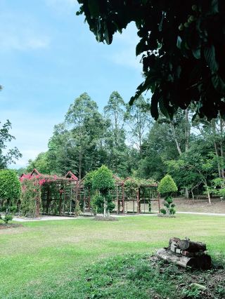 Scenic Green Paradise for Nature Lovers