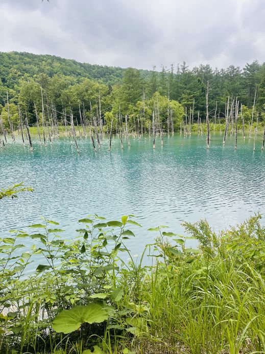 隠された領域、青池の魅惑的な紺碧色と、白旭瀑布の畏敬の念を抱かせる