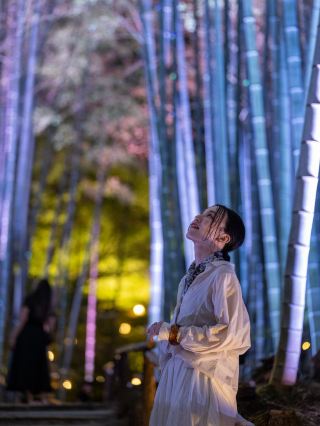 \ A Magical Summer Night in Kyoto, Wrapped in the Glow of Bamboo Lanterns /.