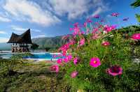Lake Toba: The Ultimate Volcanic Vibes Getaway 🌋💙