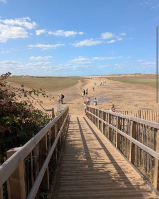  Holkham Beach: Endless Sands and Wild Norfolk Beauty 🏖️