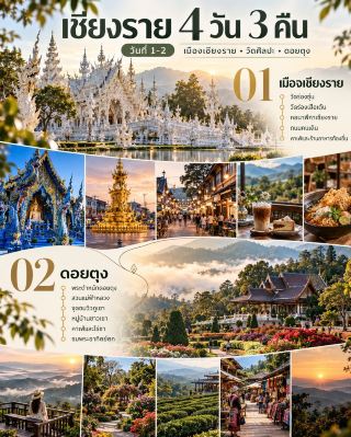 Chiang Rai 4D3N: Beyond Temples – Mountains, Tea Plantations, and the Golden Triangle.