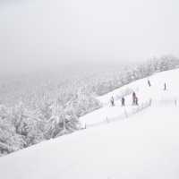 Killington Peak @ Killington Resort