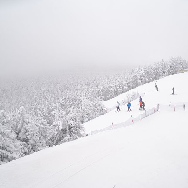 Killington Peak @ Killington Resort