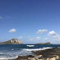 【ハワイ🇺🇸マカプウビーチ】ドライブ日和🚗綺麗なビーチに癒されて🏖️