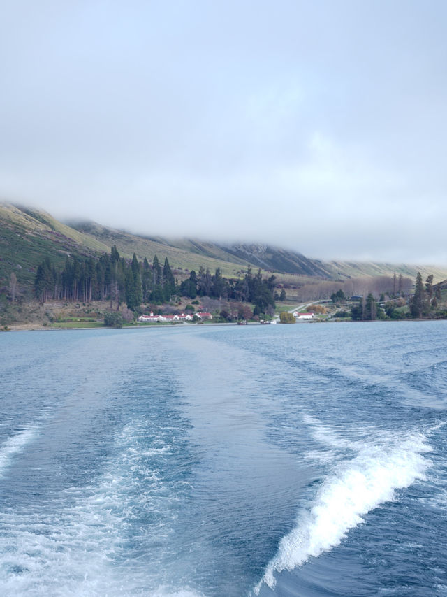 紐西蘭南島🇳🇿Te Anau 小島一日遊體驗