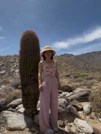 come and see the desert oasis！！
