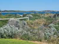 Shoalwater Islands Marine Park 🇦🇺