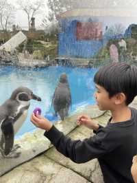 英國野生動物園酒店