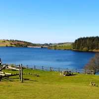 Beautiful Colliford Lake and Golitha Falls